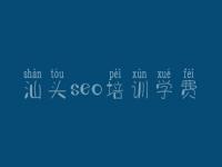 网站建设效果与SEO策略 以重庆与汕头实践为例